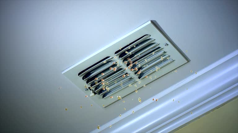 Best Air Duct Cleaning Near Me in Trion, GA