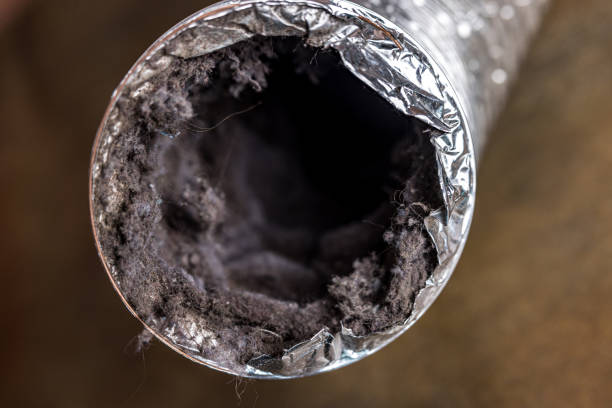 Best Affordable Air Duct Cleaning  in Trion, GA