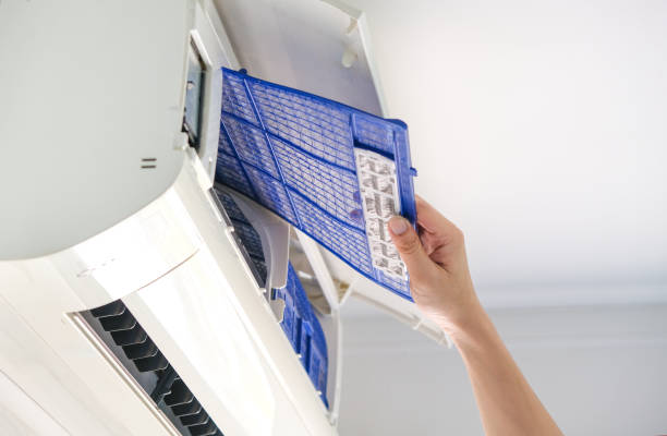 Best Professional Duct Cleaning Services  in Trion, GA